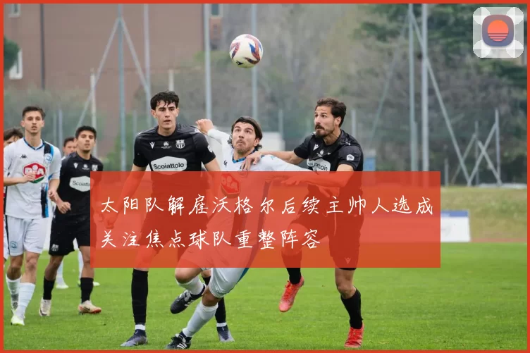 太阳队解雇沃格尔后续主帅人选成关注焦点球队重整阵容