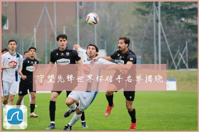 守望先锋世界杯对手名单揭晓