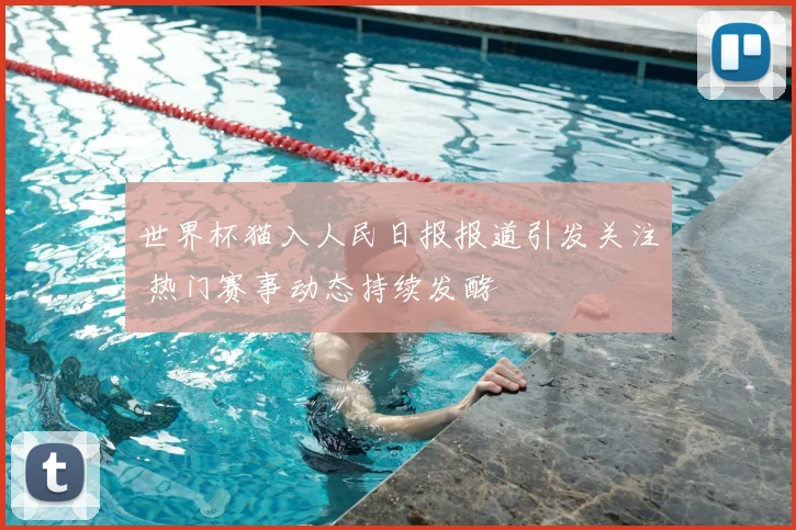 世界杯猫入人民日报报道引发关注 热门赛事动态持续发酵